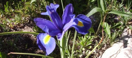 El pensamiento y los fotogramas de la vida