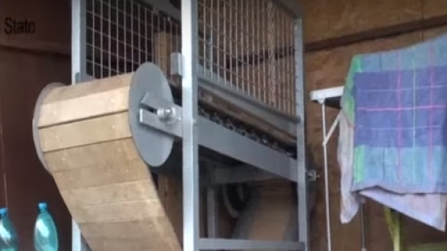 Un'immagine dell'allevamento abusivo sequestrato.