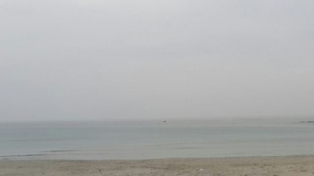 L'affluenza al al Referendum &egrave; molto bassa.