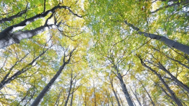Si vive pi&ugrave; a lungo a contatto con la natura