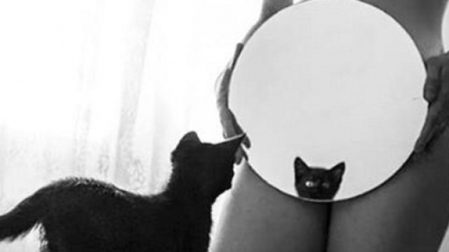 'Specchio specchio delle mie brame' per il gattino di Naike