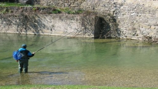 Chi pu&ograve; richiedere il part-time agevolato e come ottenerlo