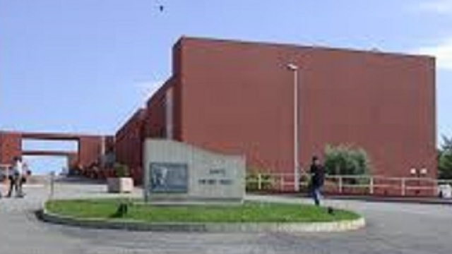 Elezioni Unical: si candida Giulio Curcio Terremoto