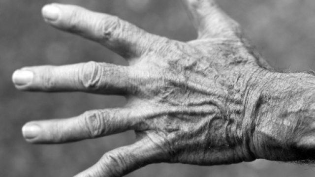 Pensioni anticipate, novit&agrave; oggi 19 aprile 2016