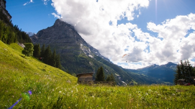 Un'immagine presentata al Parlamento europeo della macroregione alpina