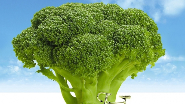 Lista nera dei cibi contaminati importati dall'Estero