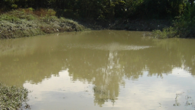 FotoPrix: falda acquifera in provincia di Vicenza