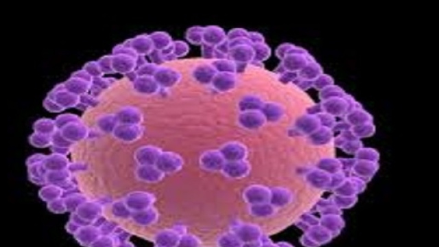 scoperto il modo di inibire la proteina che fa replicare i virus
