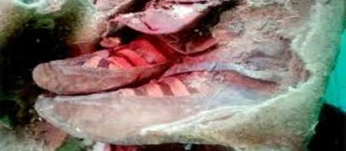 Calzado de la momia encontrada