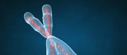 La enfermedad de Huntington es causada por un defecto gen&eacute;tico en el cromosoma N.&deg; 4.