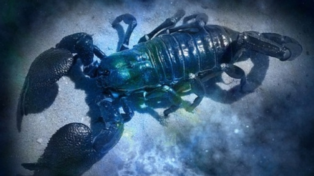 Oroscopo di maggio 2016 per lo Scorpione