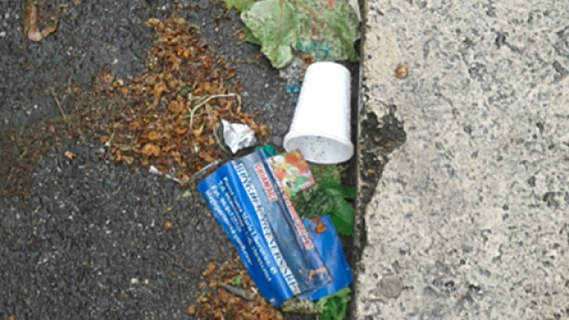 Rifiuti per le strade di Roma 2016