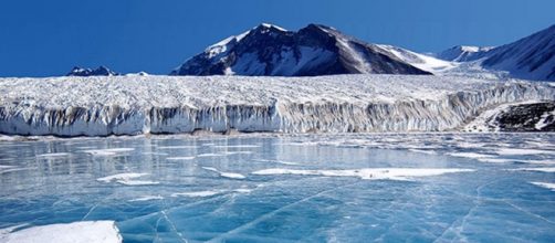 El lago subglacial podr&iacute;a albergar especies de animales desconocidos hasta ahora