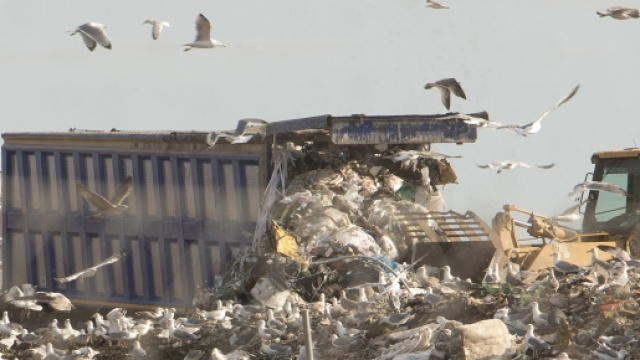 Mezzi in movimento quando la discarica era ancora attiva.