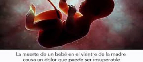 Frase sobre la perdida del embarazo