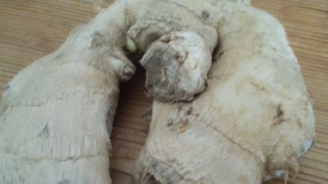 Radice di zenzero pronta all'uso.