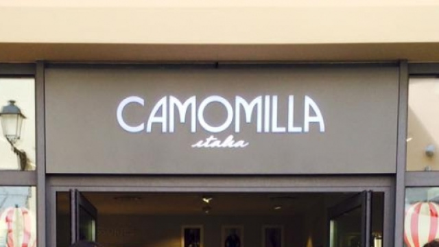 Camomilla Italia: posizioni ricercate e come candidarsi