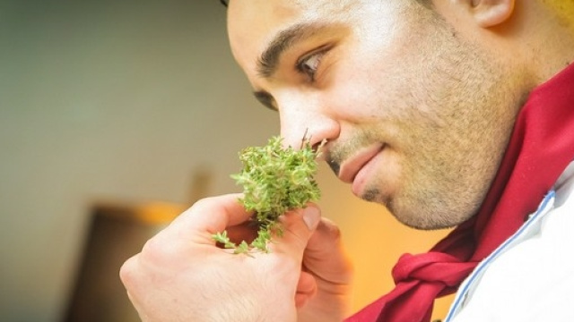 Selezione aiuto cuoco presso mense scolastiche