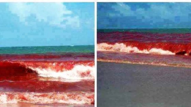 Acque rosse in Salento, il fenomeno si &egrave; verificato anche nel Salento