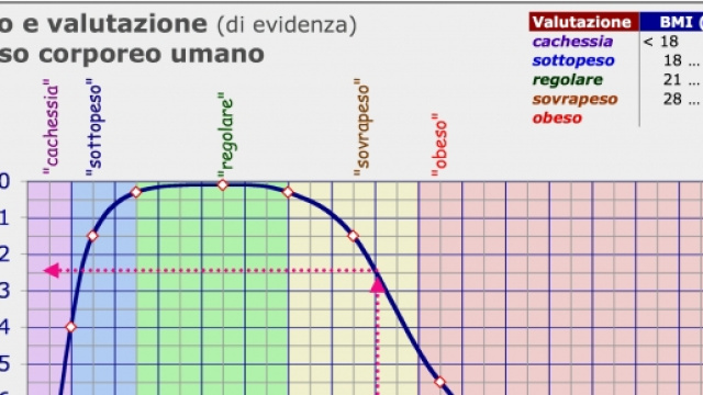 Studentessa rifiuta di calcolare il suo IBM