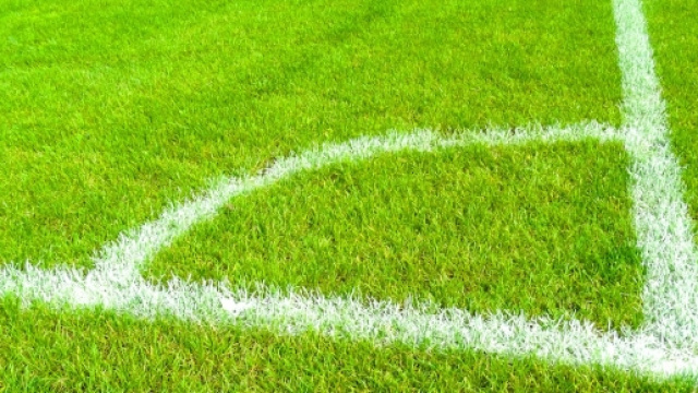 Pronostici Livorno-Bari e Modena-Trapani