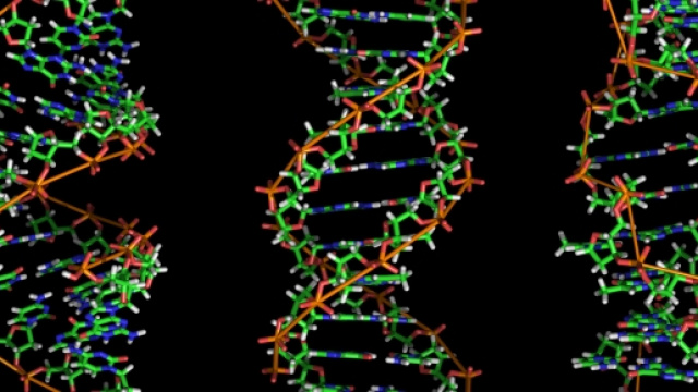 DNA con le strutture A, B, Z ..