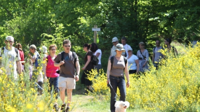 Une trentaine de randonn&eacute;es &agrave; th&egrave;me sont propos&eacute;es lors du Festival.