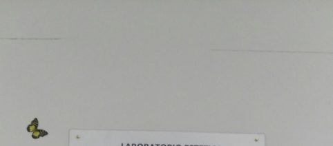 Scuola di Catania ricorda la prima donna vittima della mafia