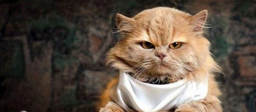 Cuando una anomal&iacute;a se vuelve tan real que asusta