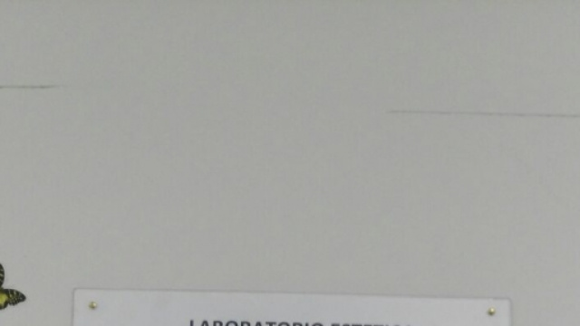 La targa della scuola a Emanuela Sansone