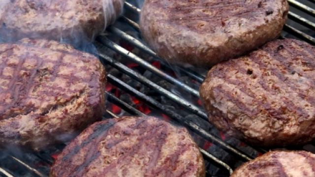 Hamburger contaminati da DNA umano e di topo.