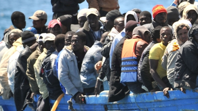 Assicurazione auto gratis per gli immigrati, tutta la verit&agrave; sulla vicenda