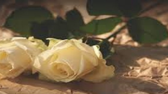 L'omicidio di Yara Gambirasio e la richiesta di ergastolo per Bossetti