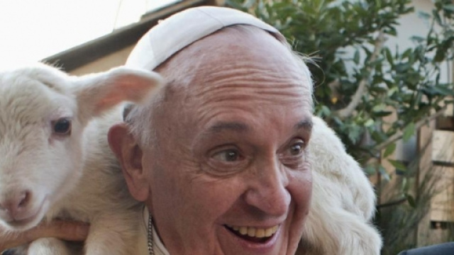 Papa Francesco contro chi ama troppo gli animali domestici, ignorando le sofferenze altrui.