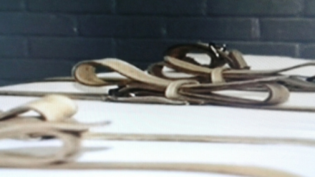 Un letto detentivo per praticare la morte