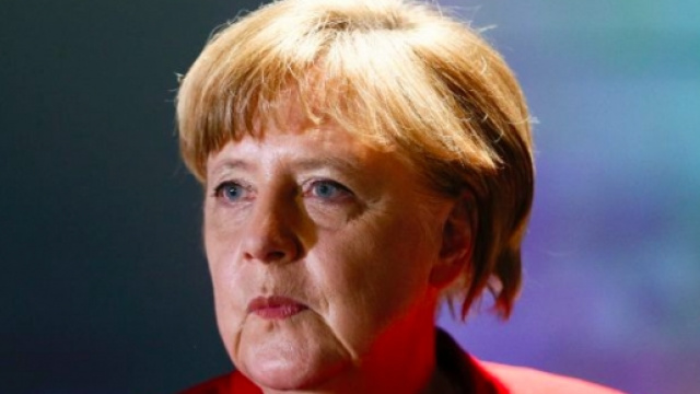 Una testa di maiale ritrovata nell'ufficio dove la Merkel ha iniziato la sua carriera.