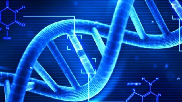 Creare genoma umano in laboratorio