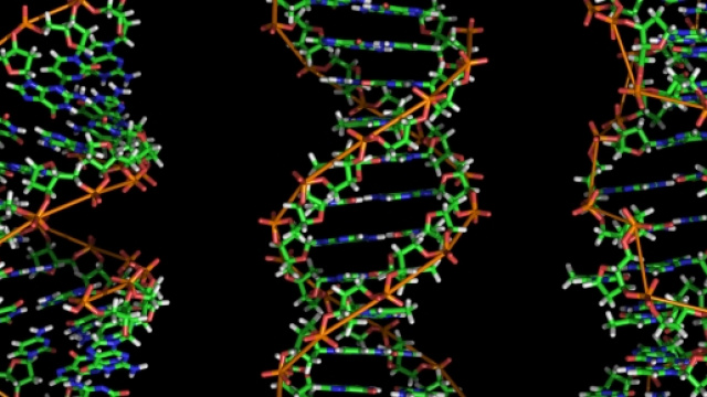 FIlamenti di DNA, possibile non trasmere malattie genetiche
