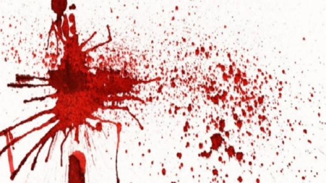 Il sangue degli avvenimenti efferati di Parma