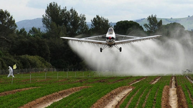 Il glifosato &egrave; probabilmente tossico