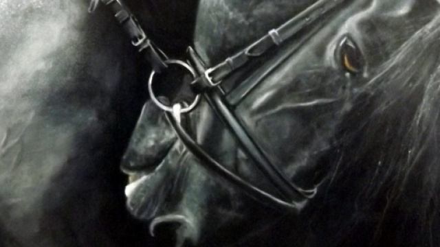 La contrainte vue par Renaud H, le peintre des chevaux