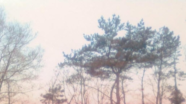 La foto scattata dal testimone