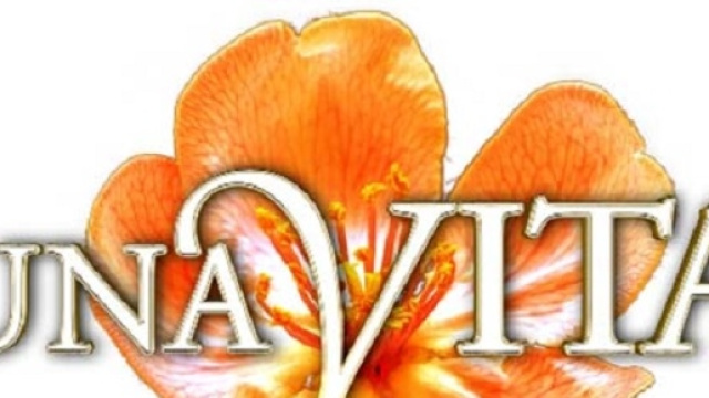 Una Vita, logo della soap opera di Canale 5
