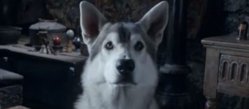 Game of Thrones season 6 theories. Screencap: ssummit via YouTube