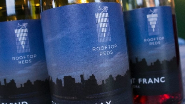 Le primissime bottiglie del Rooftop Wine