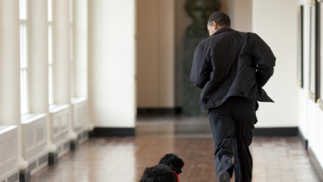 Allarme rosso alla Casa Bianca per la presenza di un uomo armato.