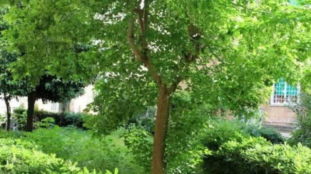 Roma, degrado al Tufello: la denuncia dei residenti.