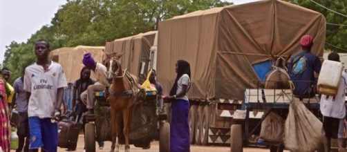 Commercial truck drivers stayed stuck at the borders for months or detour around The Gambia to southern Senegal / Alhagie Jobe, SMBC NEWS