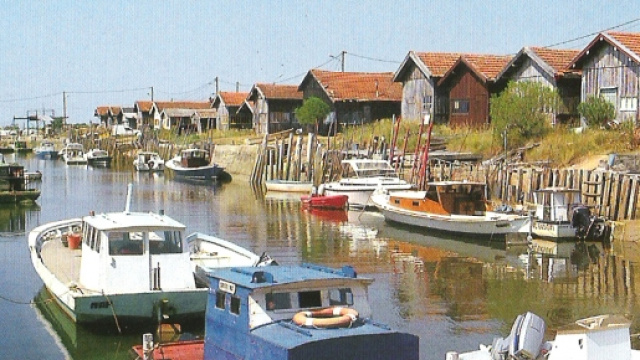 Vue sur l'un des 7 ports de Gujan-Mestras : celui de Larros.