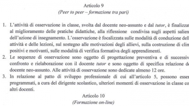 la relazione del peer to peer e portfolio profesionale.
